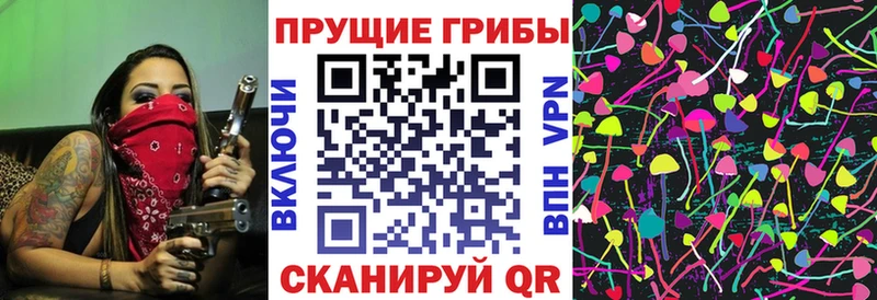 маркетплейс какой сайт  Печоры  Псилоцибиновые грибы мицелий 